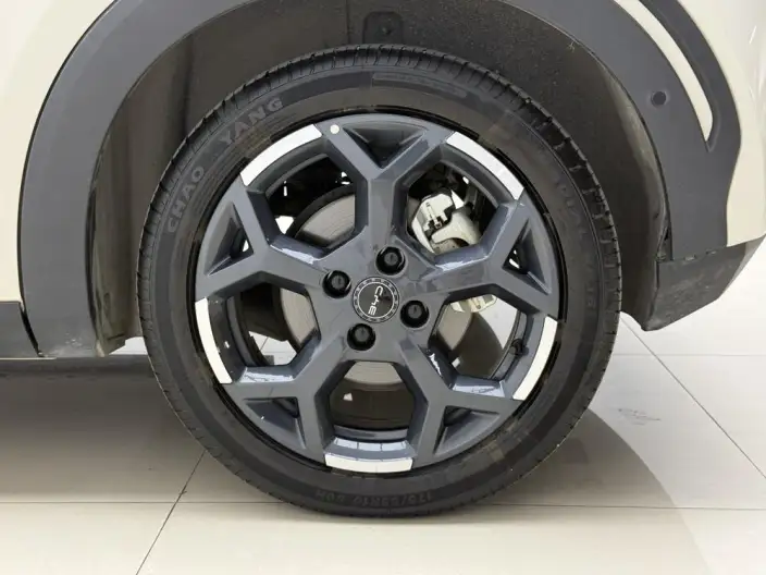 BYD Seagull 2025 Model Smart Driving Edition 305KM Free Edition – фото 9