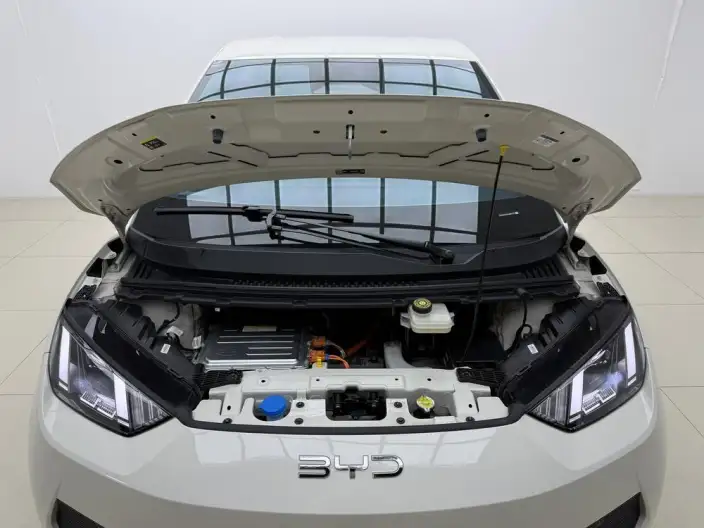 BYD Seagull 2025 Model Smart Driving Edition 305KM Free Edition – фото 10