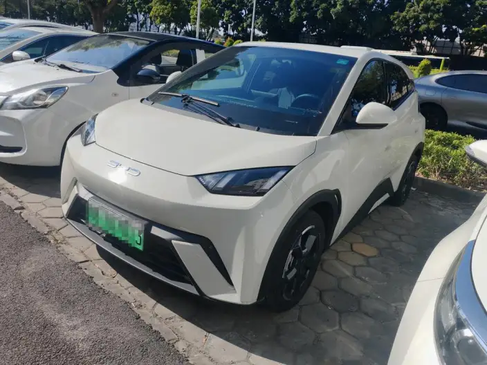 BYD Seagull 2023 Model Free Edition