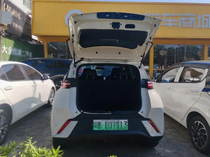 BYD Seagull 2023 Model Free Edition – фото 8