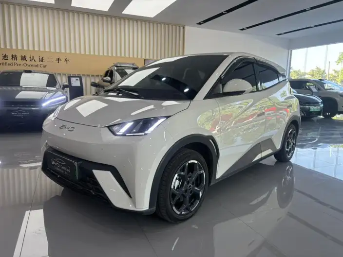 BYD Seagull 2025 Model 405KM Feixiang Edition