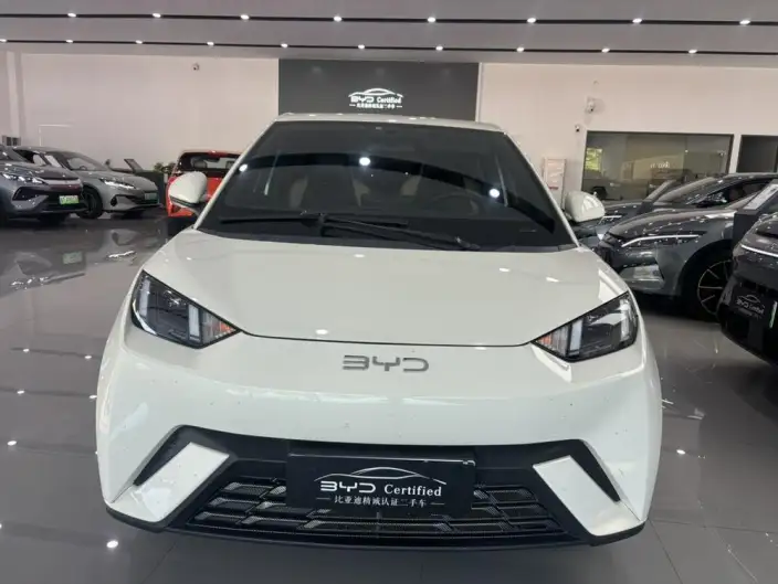 BYD Seagull 2025 Model 405KM Feixiang Edition