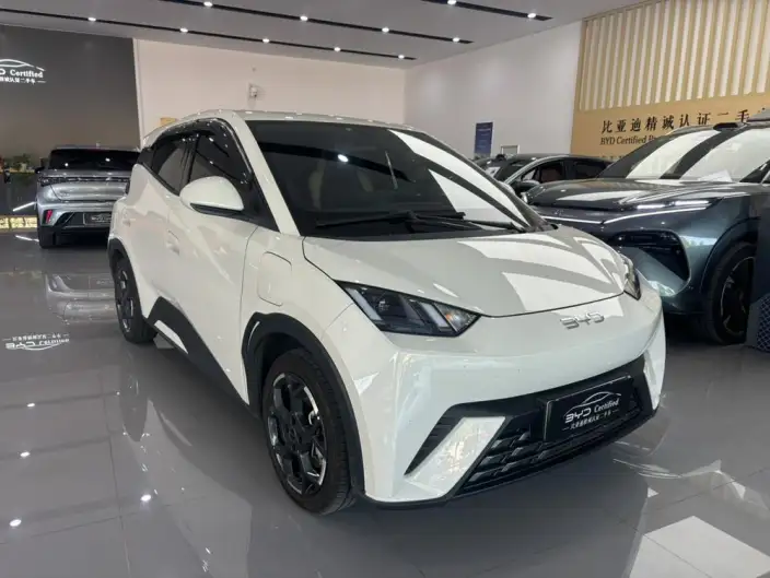 BYD Seagull 2025 Model 405KM Feixiang Edition