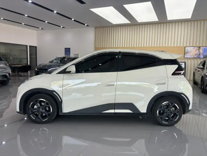BYD Seagull 2025 Model 405KM Feixiang Edition