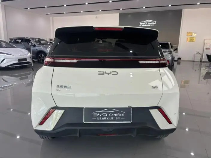BYD Seagull 2025 Model 405KM Feixiang Edition – фото 5
