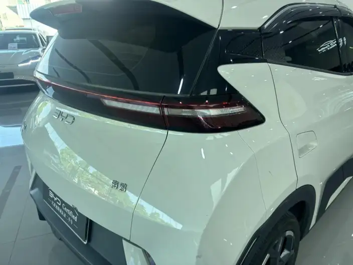 BYD Seagull 2025 Model 405KM Feixiang Edition – фото 9