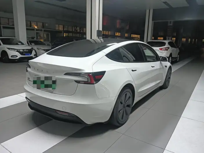 Model 3 2023 Model Long Battery Life Pro All-wheel drive version