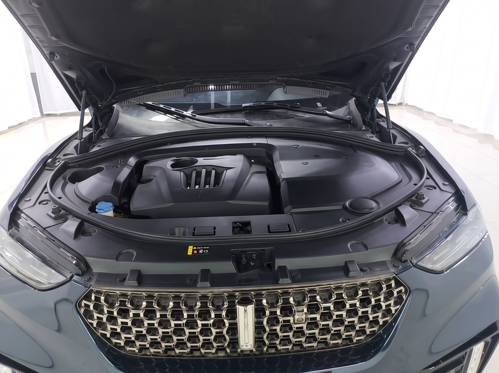 WEY VV7 2020 2.0T Ultra Luxury – фото 10