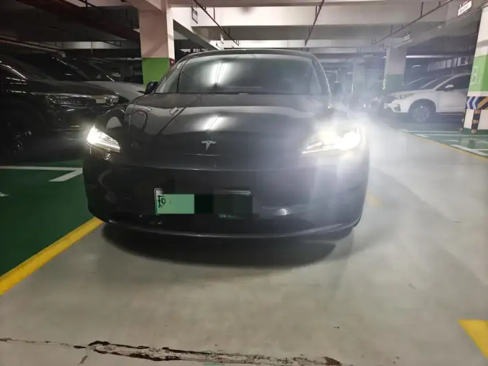 Model 3 2025 Model Long Battery Life Pro All-wheel drive version