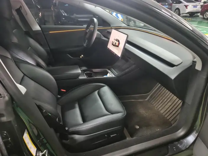Model 3 2025 Model Long Battery Life Pro All-wheel drive version – фото 7