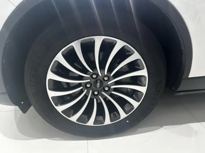 Aviator 2021 Model 3.0T V6 4WD Zunya Edition – фото 8