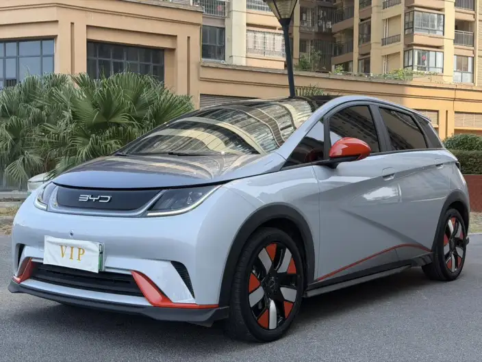 BYD Dolphin 2021 Model Knight Edition