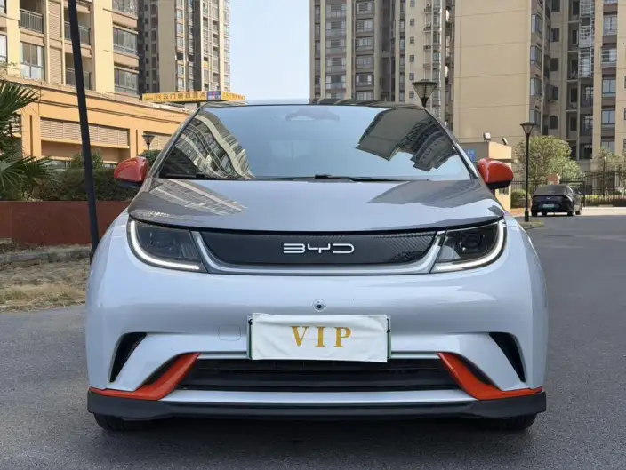 BYD Dolphin 2021 Model Knight Edition