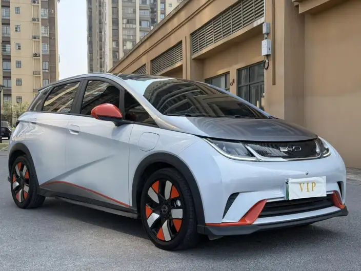 BYD Dolphin 2021 Model Knight Edition