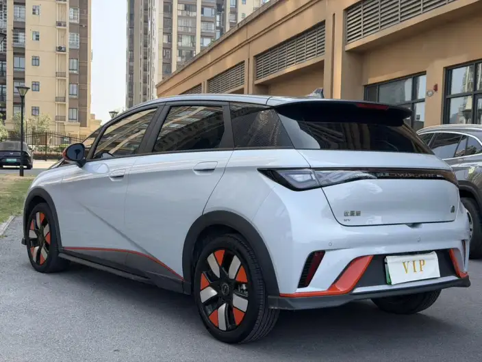BYD Dolphin 2021 Model Knight Edition