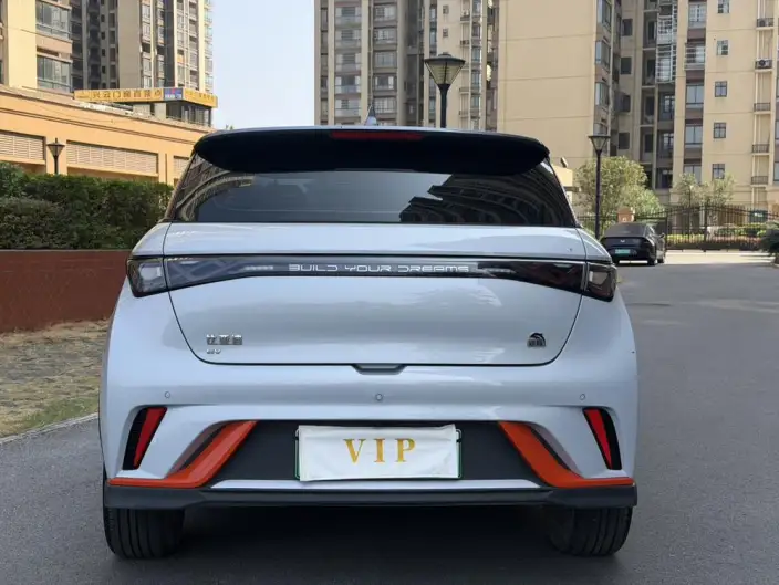 BYD Dolphin 2021 Model Knight Edition – фото 5