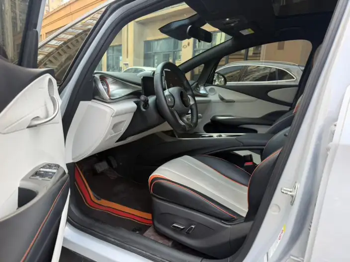 BYD Dolphin 2021 Model Knight Edition – фото 8