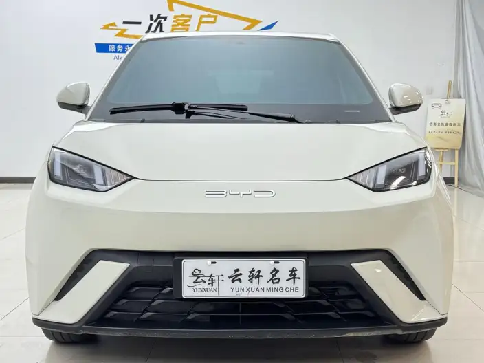BYD Seagull 2023 Model Free Edition – фото 2
