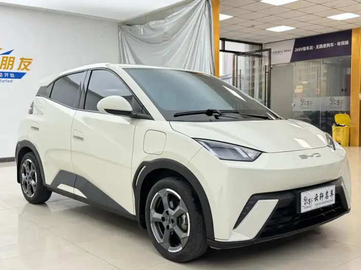 BYD Seagull 2023 Model Free Edition – фото 3