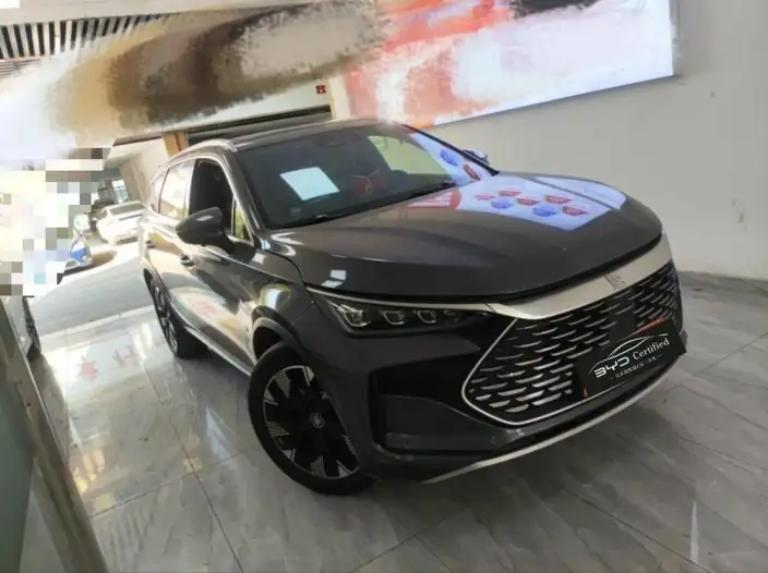 BYD Tang DM 2023 Model DM-p Champion Edition 215KM 4WD Flagship Model – фото 2