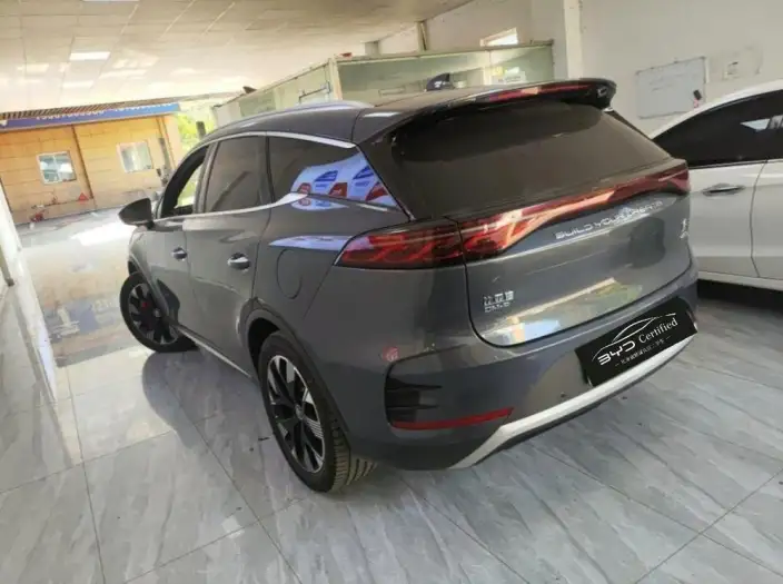 BYD Tang DM 2023 Model DM-p Champion Edition 215KM 4WD Flagship Model – фото 3