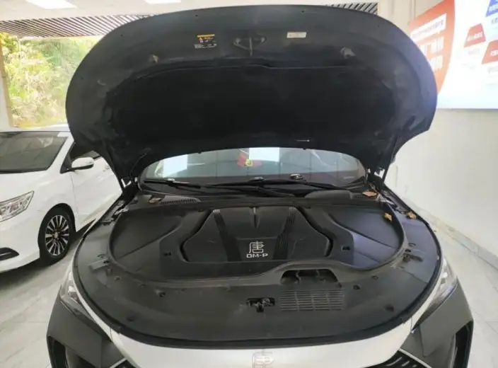 BYD Tang DM 2023 Model DM-p Champion Edition 215KM 4WD Flagship Model – фото 5