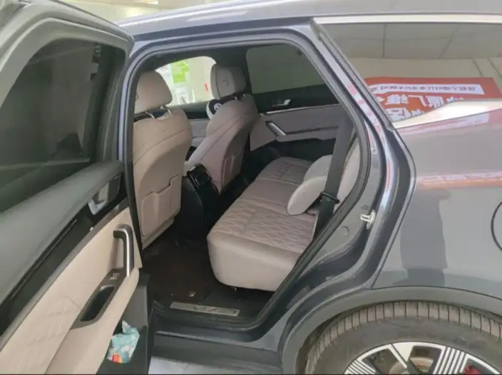 BYD Tang DM 2023 Model DM-p Champion Edition 215KM 4WD Flagship Model – фото 9