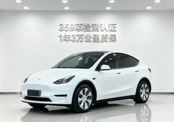 Model Y 2022 Model Facelift Rear-wheel drive version – фото 1