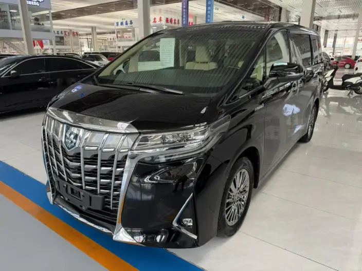 Elfa 2021 Model Hybrid 2.5L Deluxe Edition – фото 1