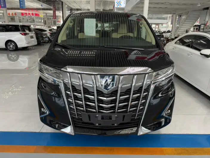 Elfa 2021 Model Hybrid 2.5L Deluxe Edition – фото 2