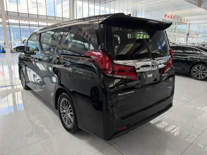 Elfa 2021 Model Hybrid 2.5L Deluxe Edition – фото 3