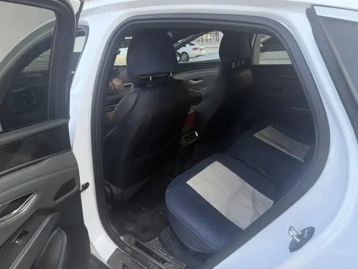 QinL DM 2025 Model Smart Driving Edition DM-i 120KM Leading Model – фото 10