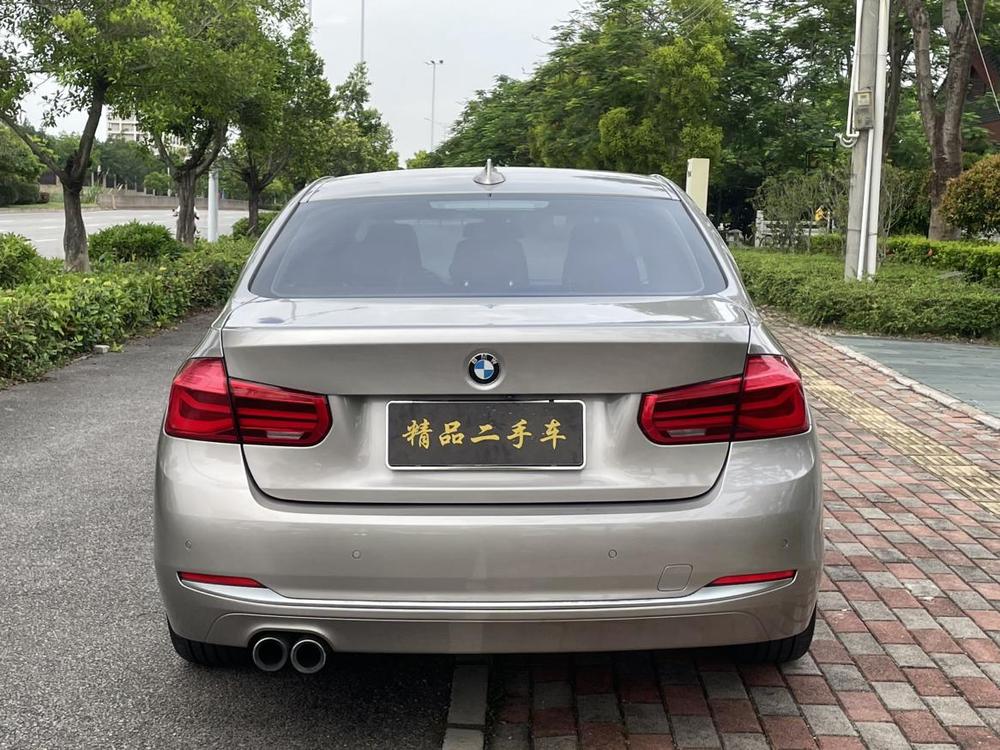 BMW 3 Series 2019 320Li Style – фото 5