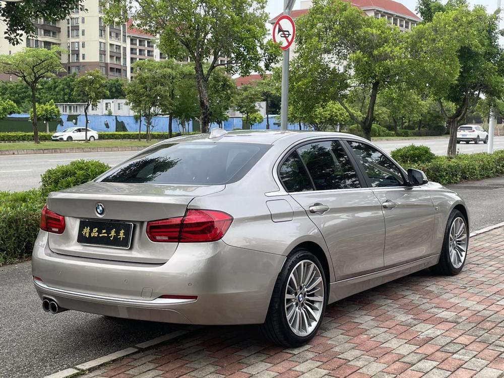 BMW 3 Series 2019 320Li Style – фото 6
