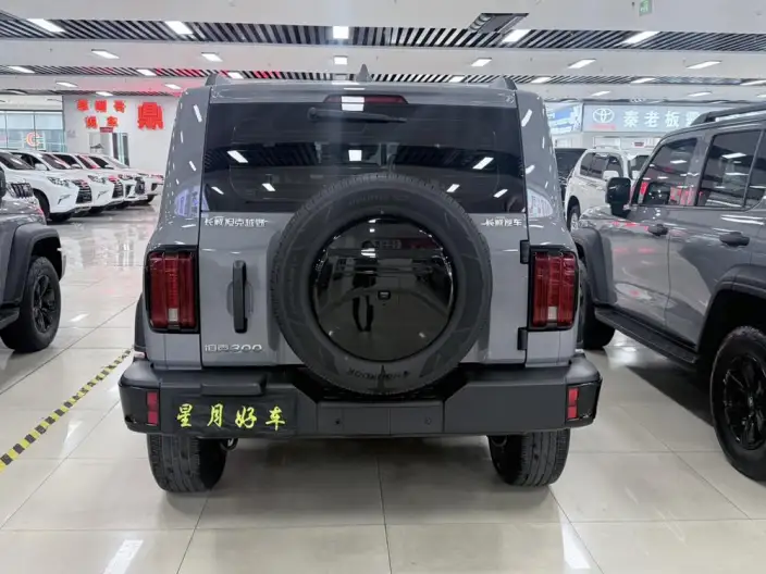 Tank 300 2024 Model 2.0T Challenger – фото 5