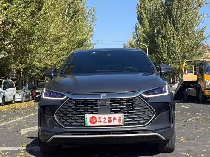 BYD Tang DM 2024 Model Honor Edition DM-p 215KM 4WD Exclusive Model – фото 2