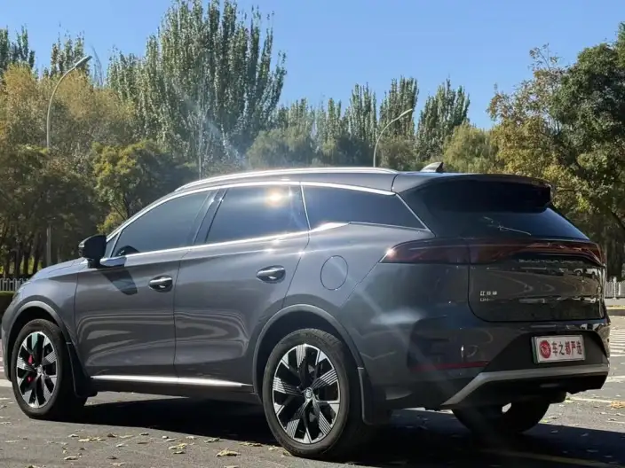 BYD Tang DM 2024 Model Honor Edition DM-p 215KM 4WD Exclusive Model – фото 4