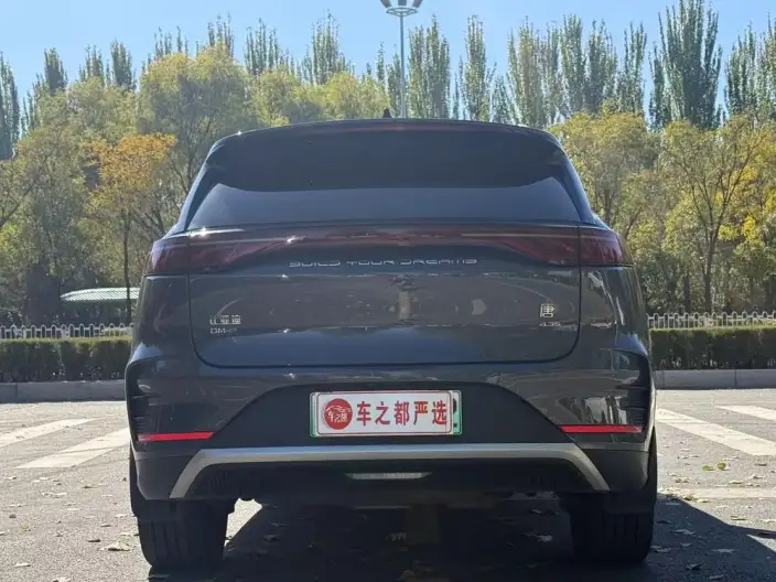 BYD Tang DM 2024 Model Honor Edition DM-p 215KM 4WD Exclusive Model – фото 5