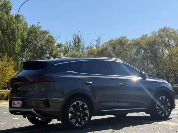 BYD Tang DM 2024 Model Honor Edition DM-p 215KM 4WD Exclusive Model – фото 6