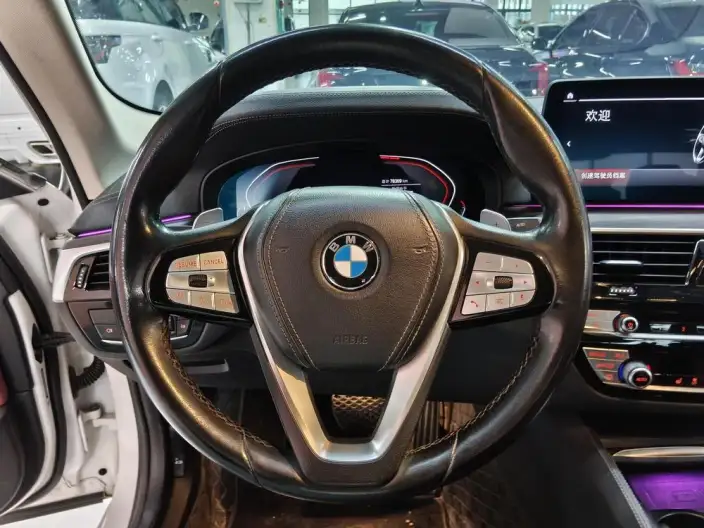 BMW 5 Series 2022 Model Facelift II 530Li Leading Model Luxury Set – фото 9