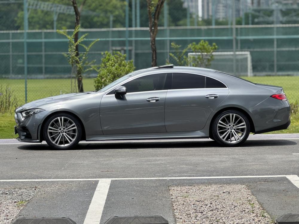 Mercedes-Benz CLS Модель 2018 года CLS 300 Luxury – фото 3