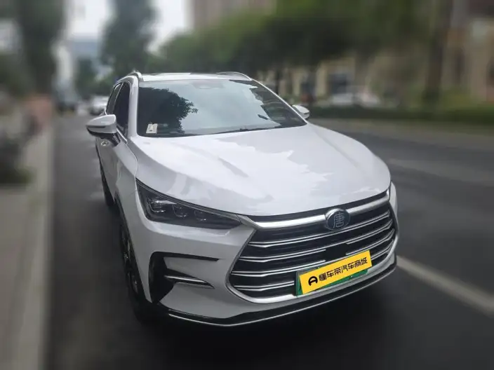 BYD Tang DM 2023 Model DM-i Champion Edition 112KM Zunrong Model – фото 3