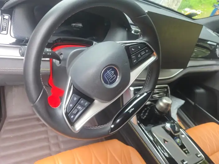 BYD Tang DM 2023 Model DM-i Champion Edition 112KM Zunrong Model – фото 7