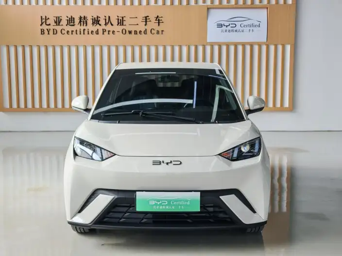 BYD Seagull 2024 Model Honor Edition 305KM Vitality Edition – фото 2