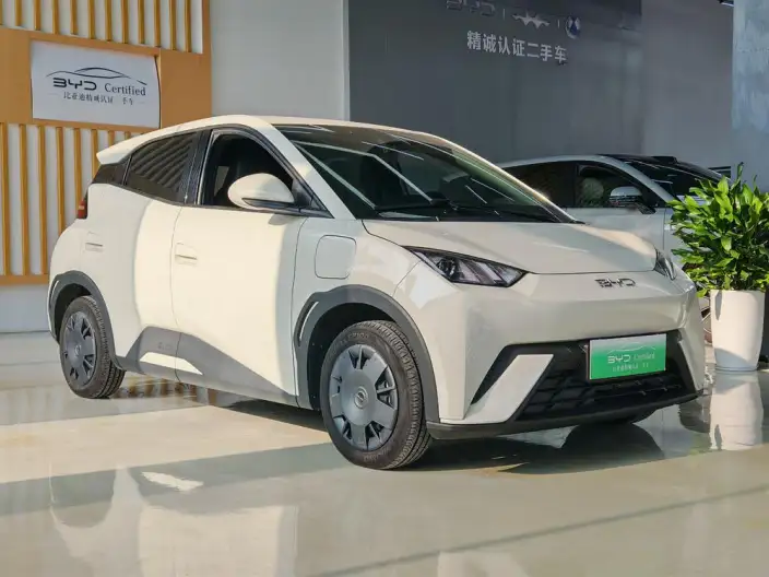 BYD Seagull 2024 Model Honor Edition 305KM Vitality Edition – фото 3