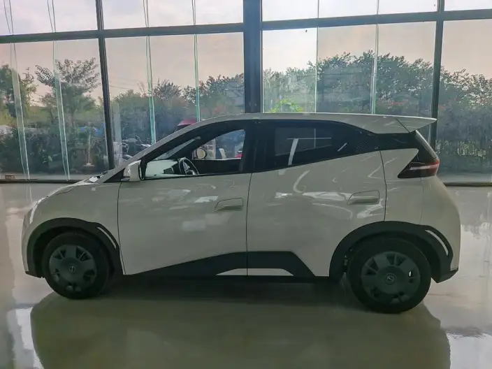 BYD Seagull 2024 Model Honor Edition 305KM Vitality Edition – фото 4