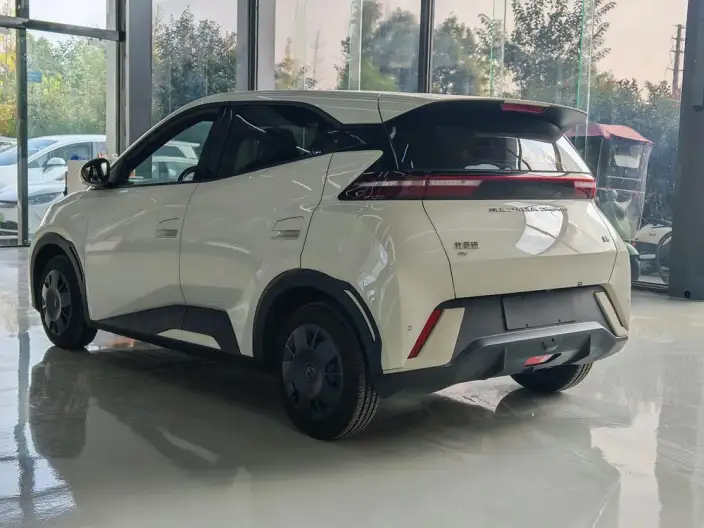 BYD Seagull 2024 Model Honor Edition 305KM Vitality Edition – фото 5