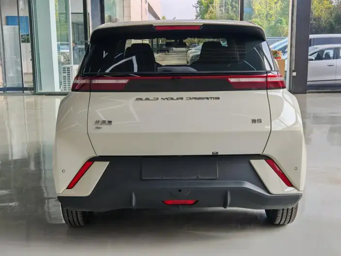 BYD Seagull 2024 Model Honor Edition 305KM Vitality Edition – фото 6
