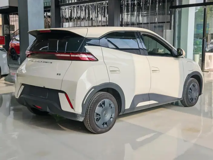 BYD Seagull 2024 Model Honor Edition 305KM Vitality Edition – фото 7
