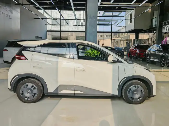 BYD Seagull 2024 Model Honor Edition 305KM Vitality Edition – фото 8